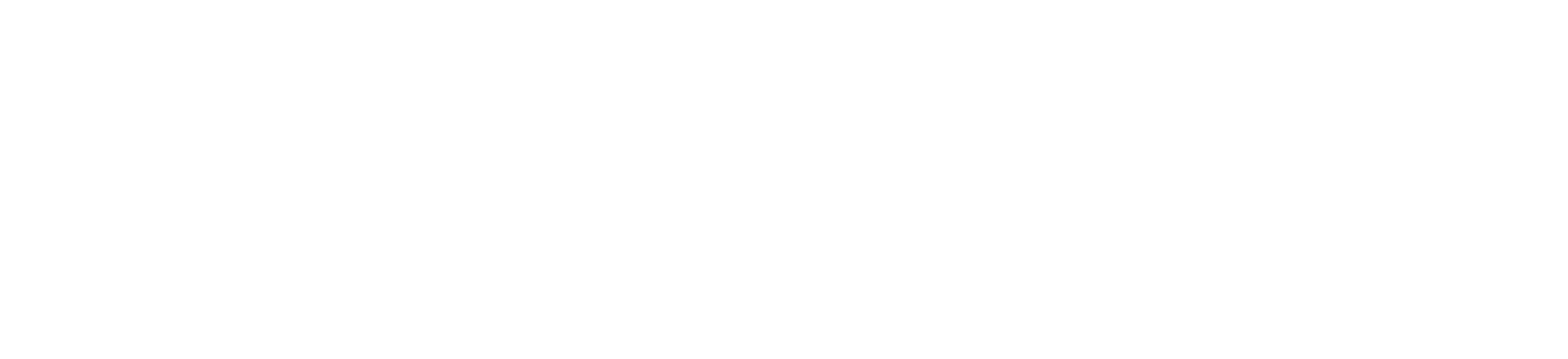 ONE ZOOM